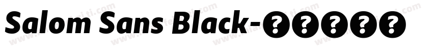 Salom Sans Black字体转换